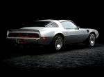 Pontiac Firebird Trans Am 6.6 L80 10th Anniversary Edition 1979 года